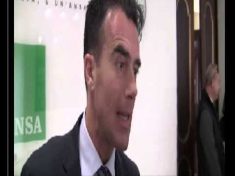 Gozi all'Ansa: Basta Europa dello status quo