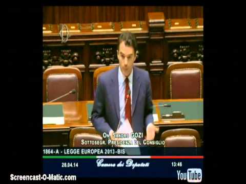Leggi europee 2013, intervento in Aula